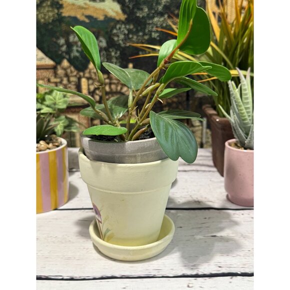 Hand-Painted Ceramic Flower Pot With Saucer - Picture 3 of 11